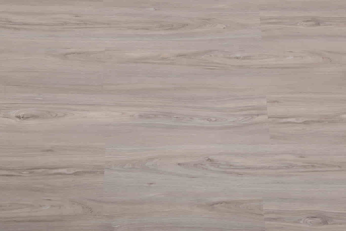 gambar Costa Maple