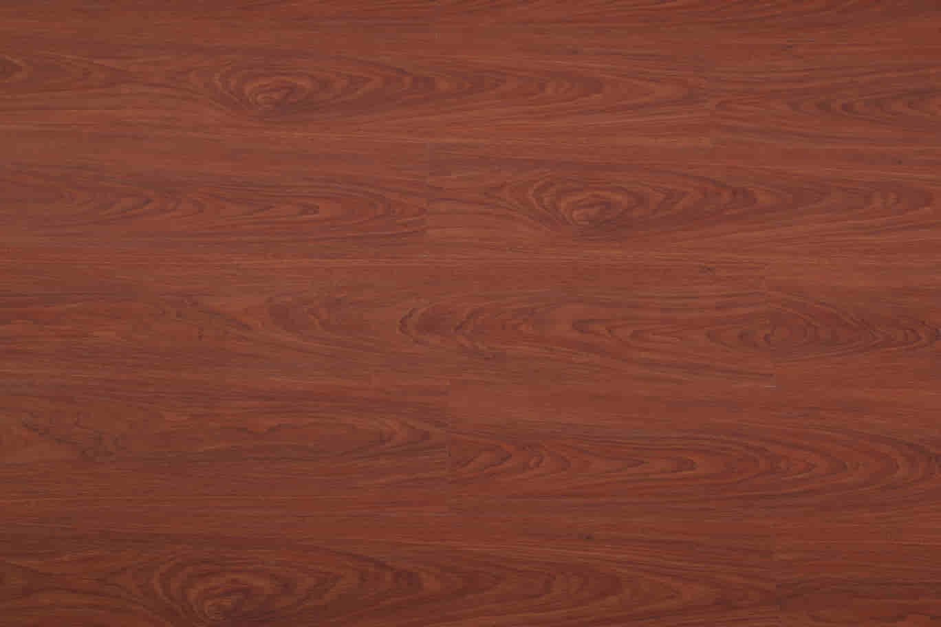 gambar Ava Cherry