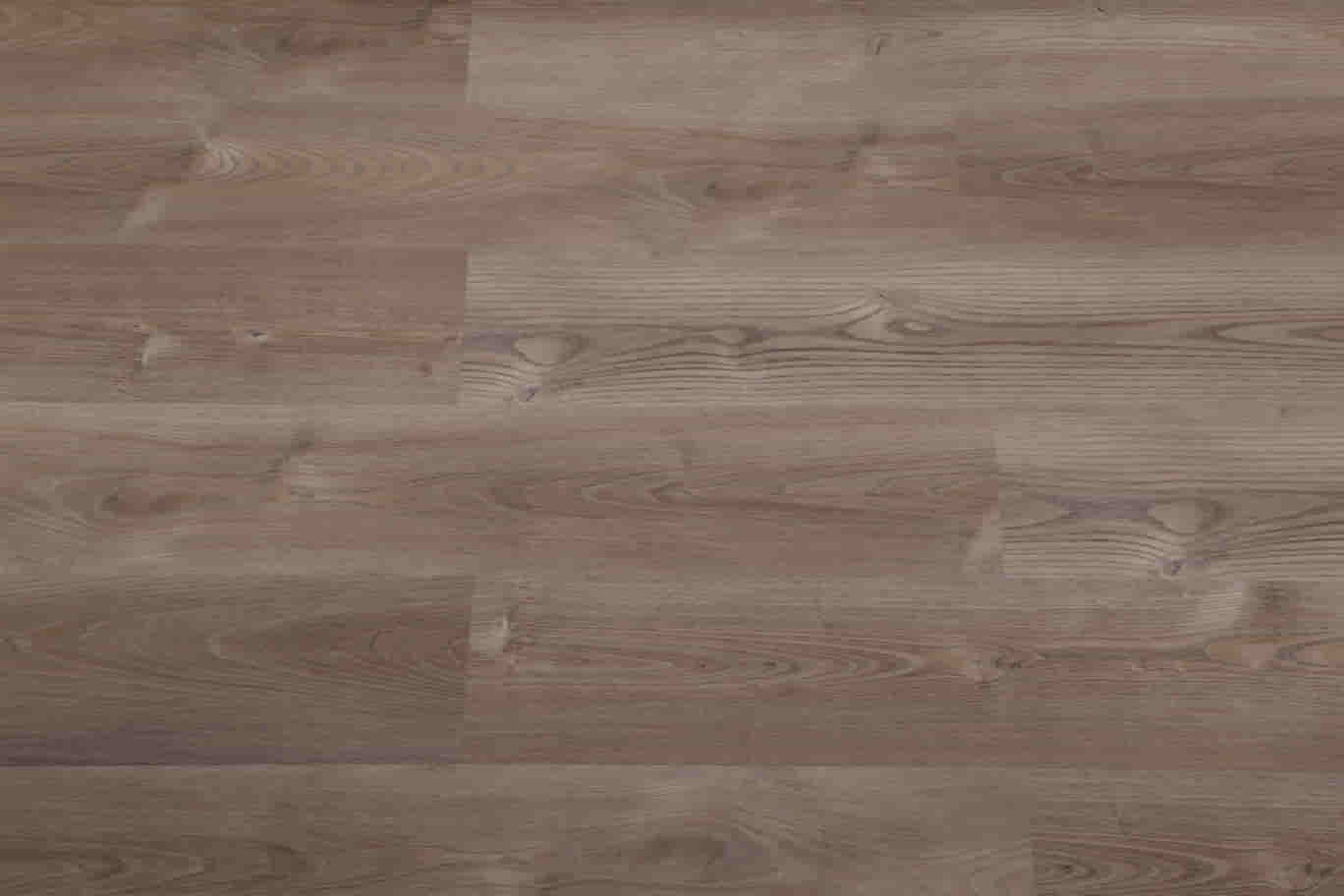 gambar Hermes Oak