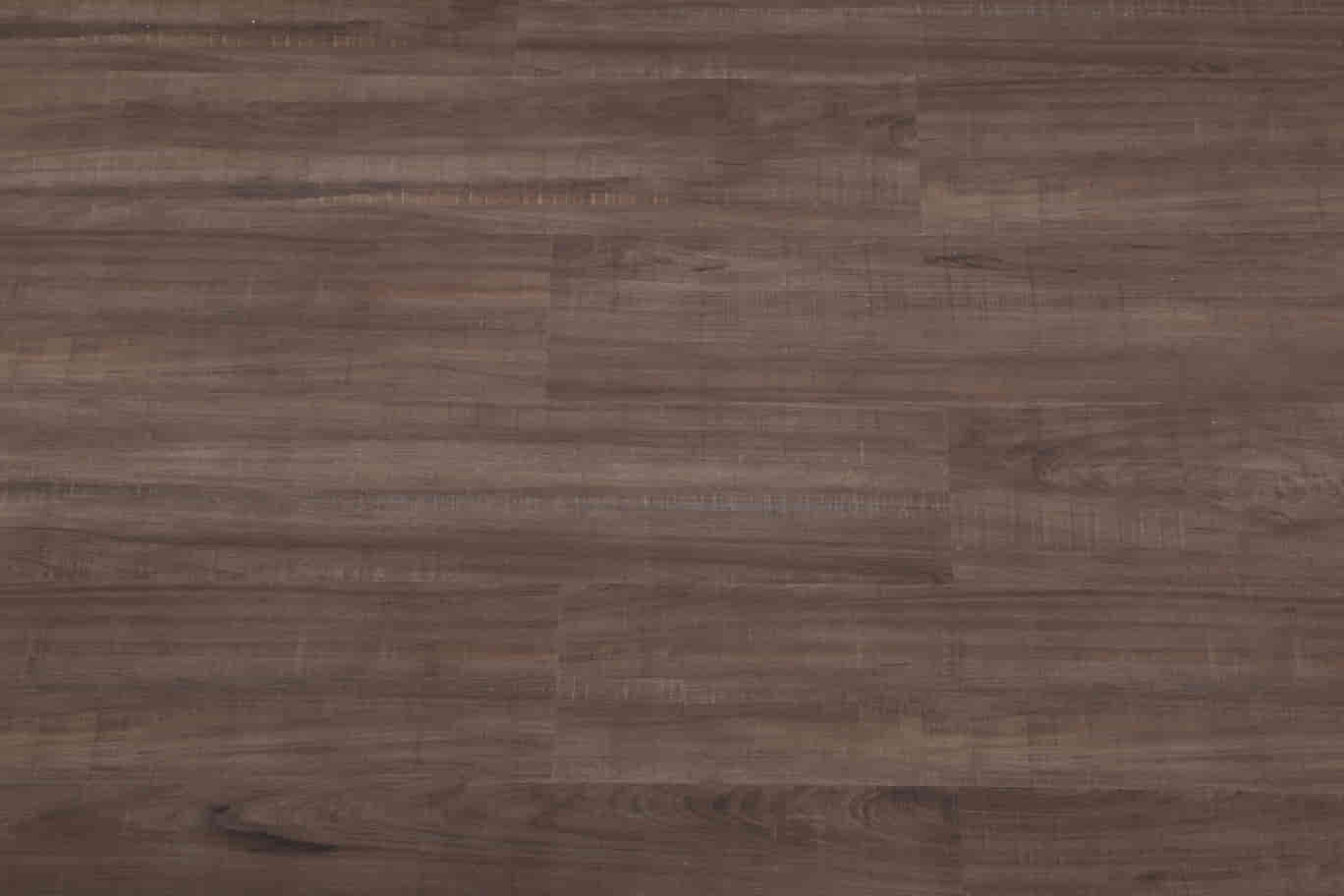 gambar Legno Elm