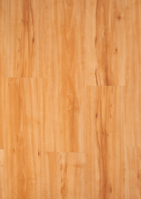 gambar FV 017 Asian Maple