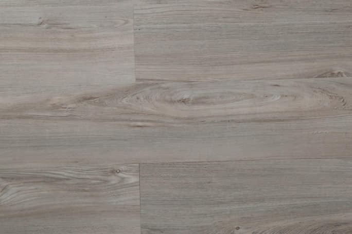 gambar FV 026 Wald Maple